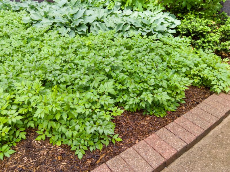 Brick Landscaping Installation in Fairfield County, CT