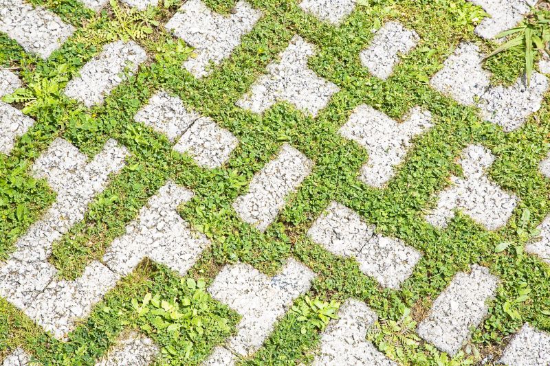 Paver Flooring Installation in Denver, CO